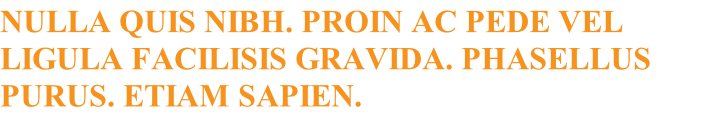 Nulla quis nibh. Proin ac pede vel ligula facilisis gravida. Phasellus purus. Etiam sapien. 